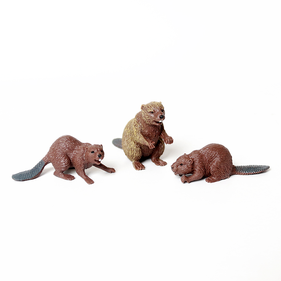 Realistic Woodland Creatures F - Kids Education Shows ulasan dan harga